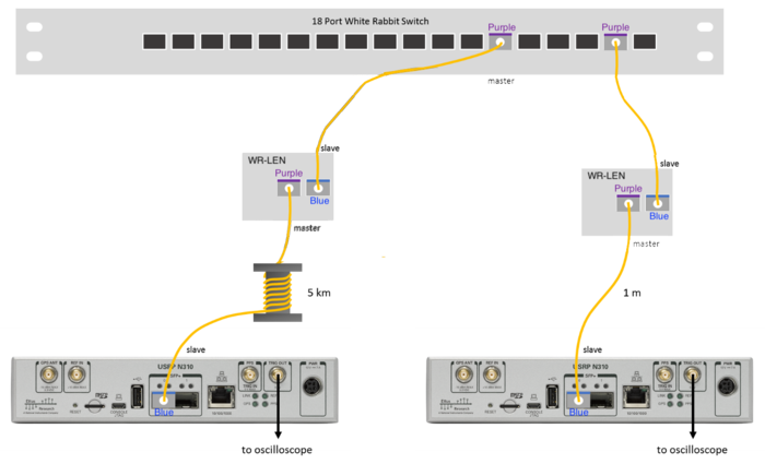 white rabbit usrp 5.png